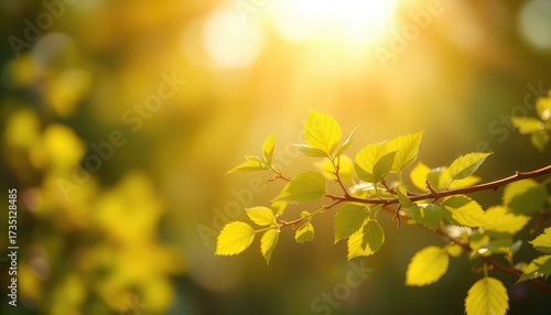 Sunlight streaming through fresh springtime leaves creating a warm, vibrant, and organic scene in nature