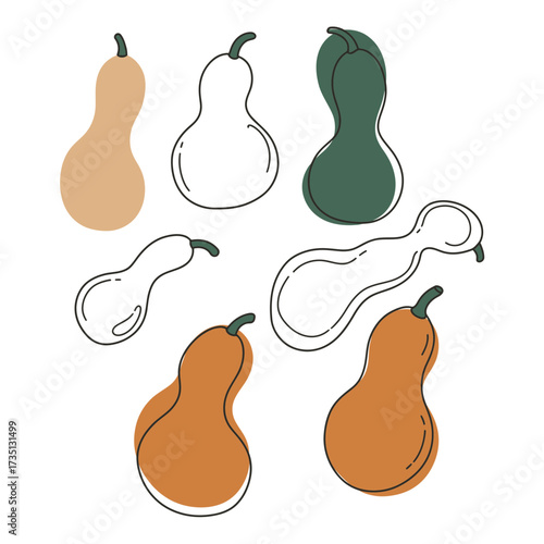 Various gourds and squashes vegetable collection outline sketch