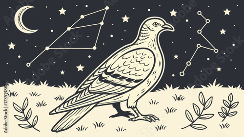 Dove constellation art print, night sky illustration, celestial bird drawing, stars and moon vector
