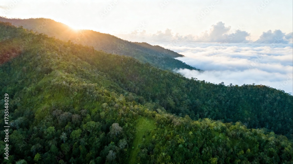 Fototapeta premium Sunrise over forested mountains