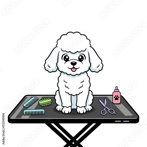 Cute white poodle sitting on grooming table with tools nearby  