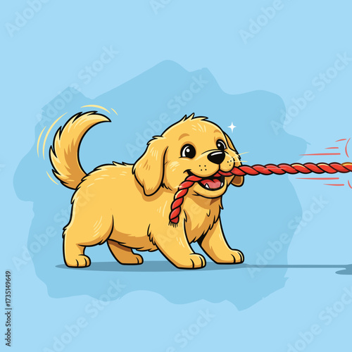 Playful golden retriever puppy tugging on a rope toy against blue background  