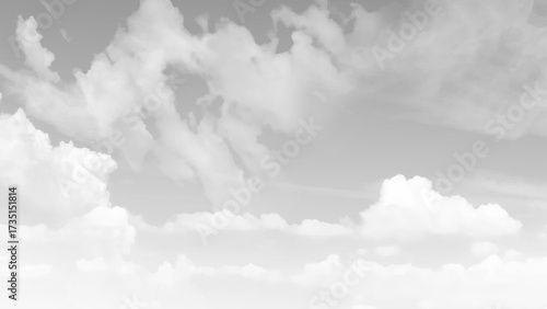 White sky stock photo