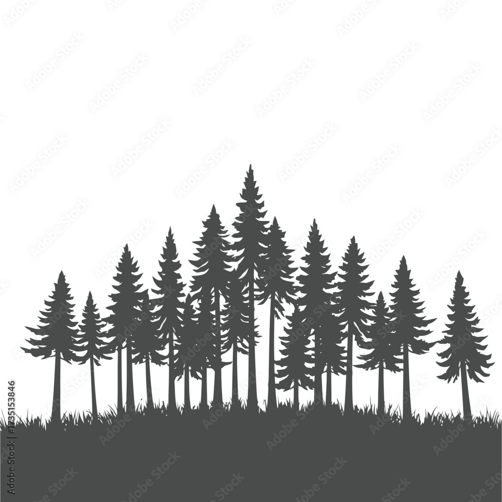 Obraz premium Dark silhouette of a dense pine forest on a hill.