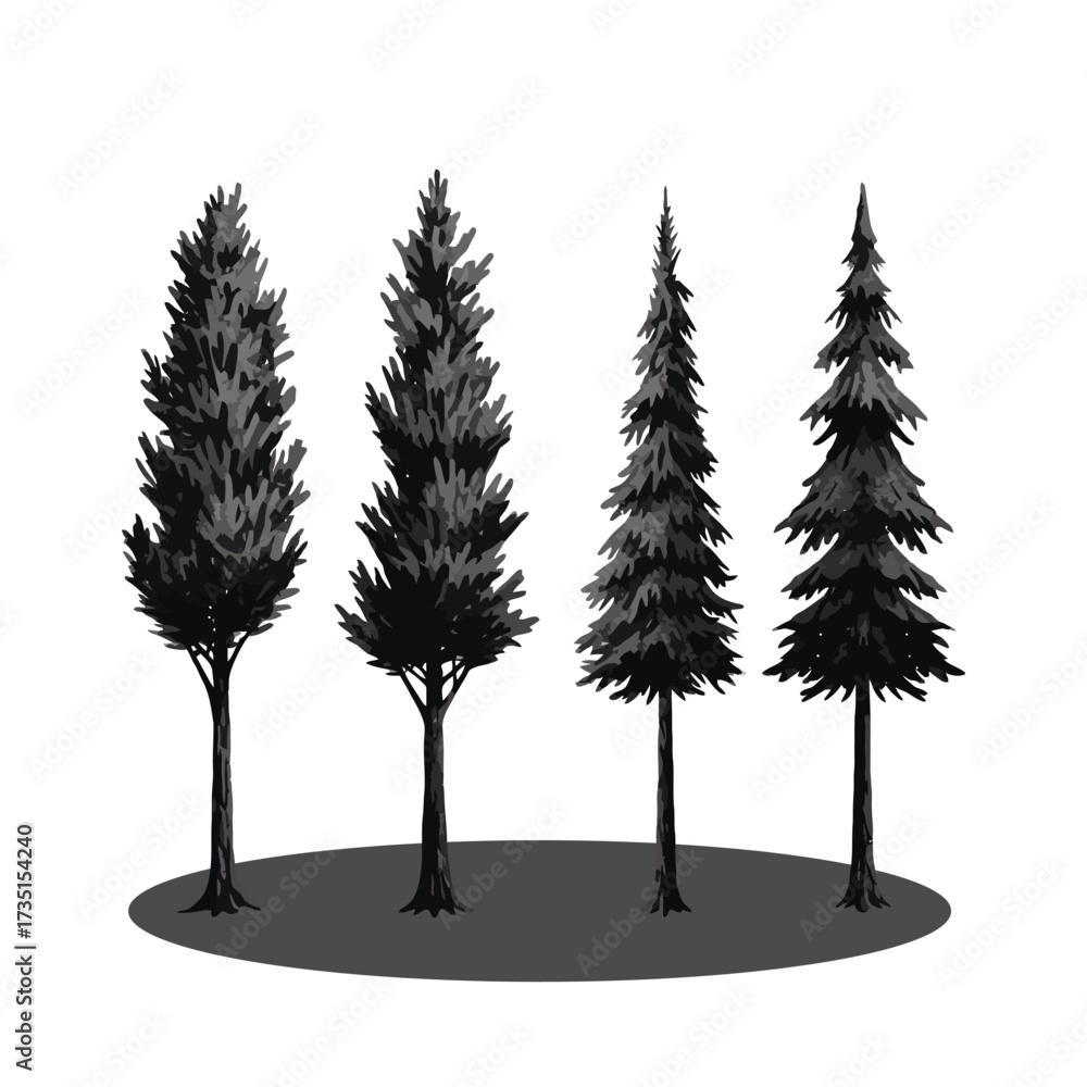Fototapeta premium Four Tall Evergreen Trees in a Row.