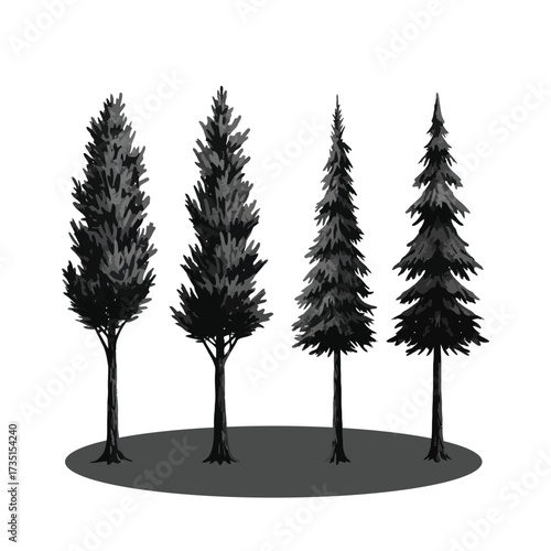 Four Tall Evergreen Trees in a Row.