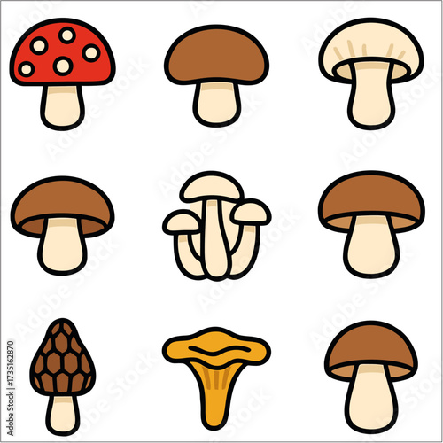 Flat Icon Set, Mushroom, Fungi & Nature Symbols