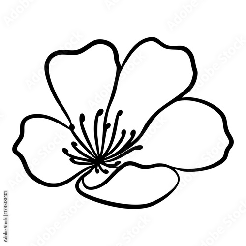 Cherry Blossom Flower Illustration