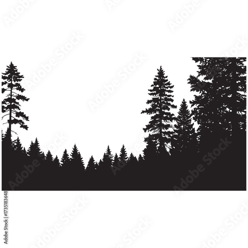 Black silhouette of a dense pine forest against a white background