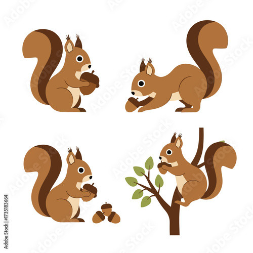 A collection of cartoon squirrels in various poses, interacting with acorns and a tree branch.