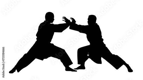Silhouette illustration of people doing karate sports movements