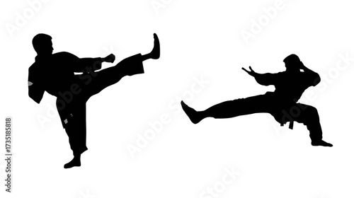 Kungfu movement silhouettes in vector illustrations