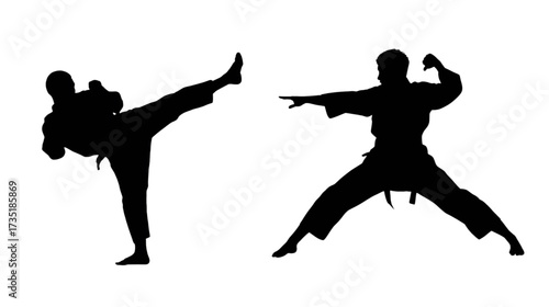 Silhouette of karate moves in vector illustration