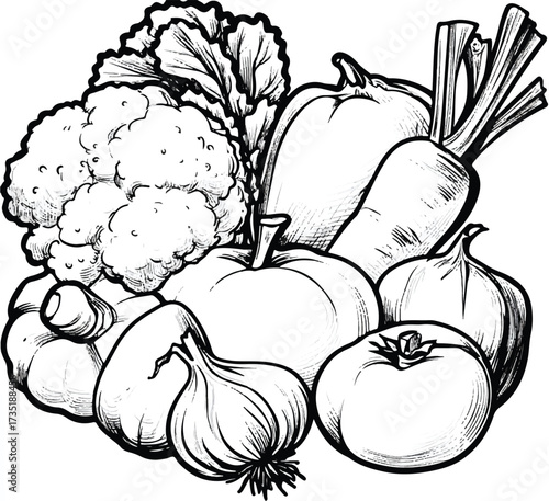 Black and white illustration of a vegetable still life featuring cauliflower onion carrot tomato and squash