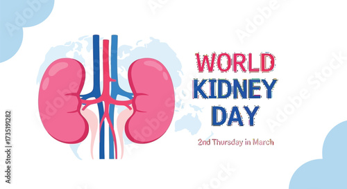 Raise awareness for World Kidney Day every second Thursday in March promoting health and wellness with this eye catching organ illustration