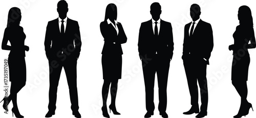 Silhouette group of corporate business professionals in formal attire, executives, office colleagues, teamwork, leadership, partnership, cooperation, 