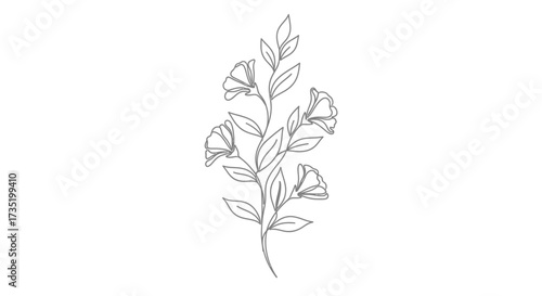Elegant botanical illustration featuring delicate flowers and leaves for creative designs