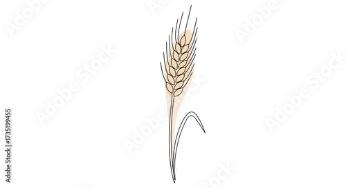 Elegant wheat stalk illustration with soft neutral tones perfect for minimalistic designs