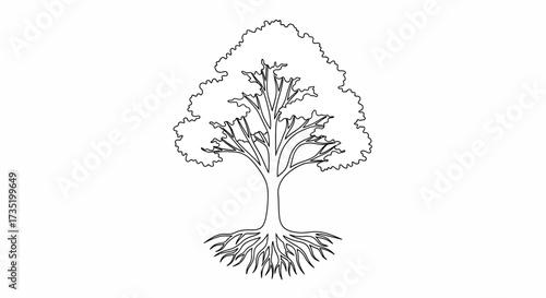 Elegant line art illustration showcasing a deciduous tree with intricate root system