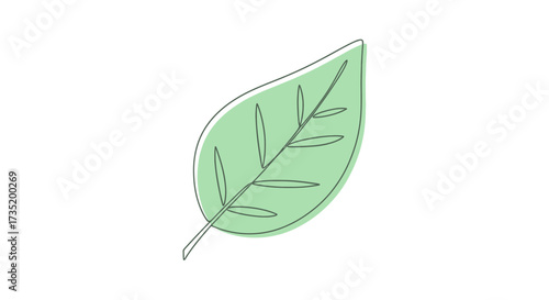 Delicate illustration of a vibrant green leaf on a pristine white background showing nature's art