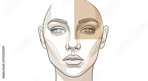 Illustration showcasing a woman's face with half shaded in brown tones for makeup demonstration