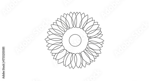 Elegant minimalist outline of a sunflower blossom displaying delicate petal arrangement suitable