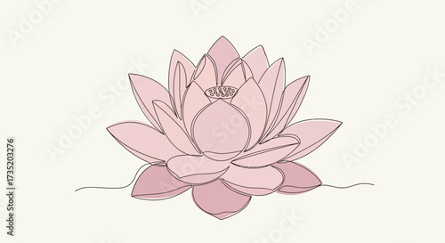 Elegant pink lotus flower illustration with watercolor effect and minimalist style