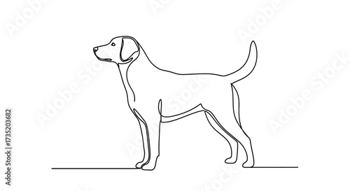 Elegant continuous line drawing of a labrador retriever dog silhouette pet portrait canine
