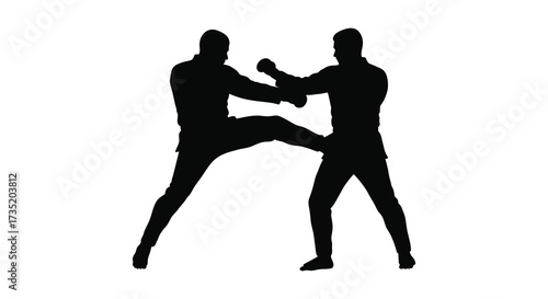 Two men engaged in martial arts combat a dynamic pose silhouette