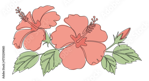 Delicate hibiscus flower illustration with soft colors and sketchy outlines showing summer blooms