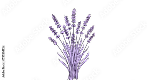 Elegant lavender bouquet illustration with delicate purple hues on a white background