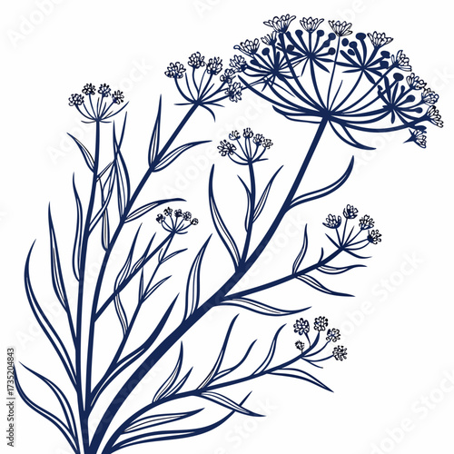 black and white blue mist shrub