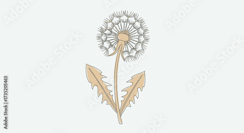 Elegant dandelion illustration with detailed seeds and leaves on a neutral background