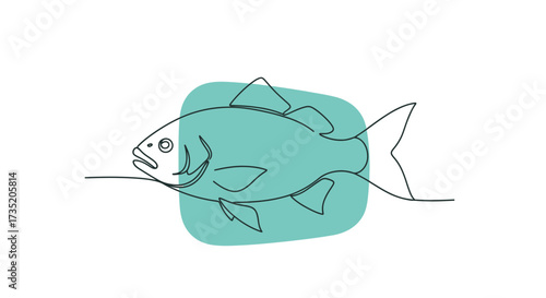 Minimalist one line drawing of a fish with a turquoise abstract background shape for design