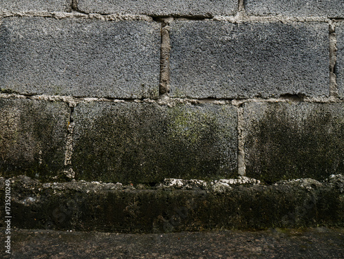 Moisture damage and mold growth on concrete wall foundation - Damp building problem with water seepage and deterioration issues