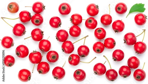 Red berries arranged on white background (1)