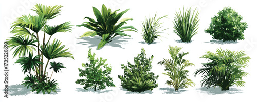 Watercolor Green Plants Variety on White Background Illustration for Garden Design Elements and Landscaping Ideas