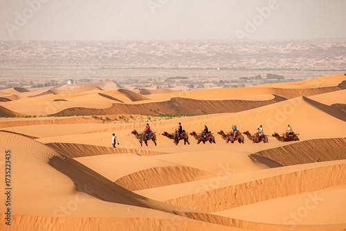 Grand Gansu Zhongwei Shapotou Desert Camel Caravan