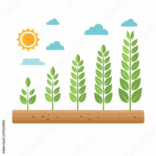 Illustration depicting plant growth stages from seedling to mature plant, under a sunny sky with fluffy clouds.