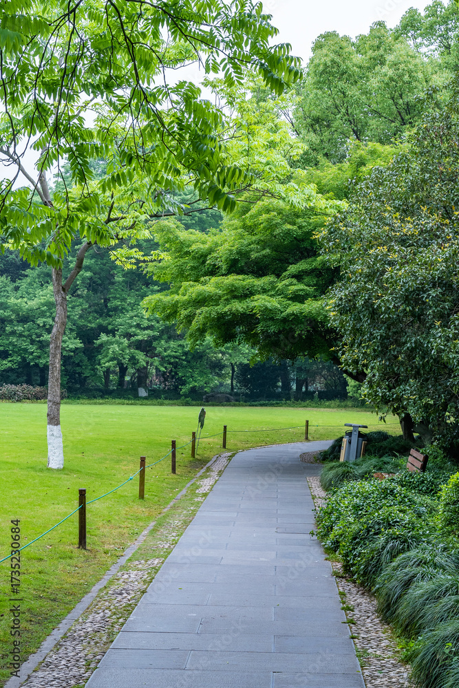 Fototapeta premium West Lake Natural Trail Landscape Photography Pathway