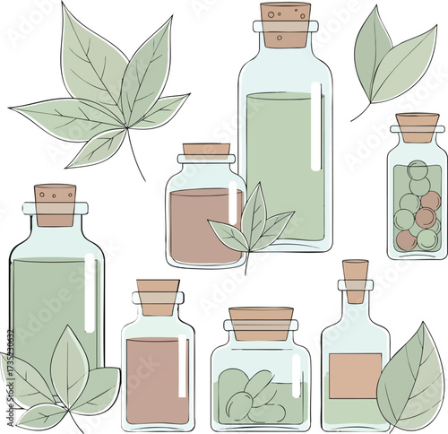 Botanicalthemed image featuring vials  leaves in soft hues with clean delicate outlines