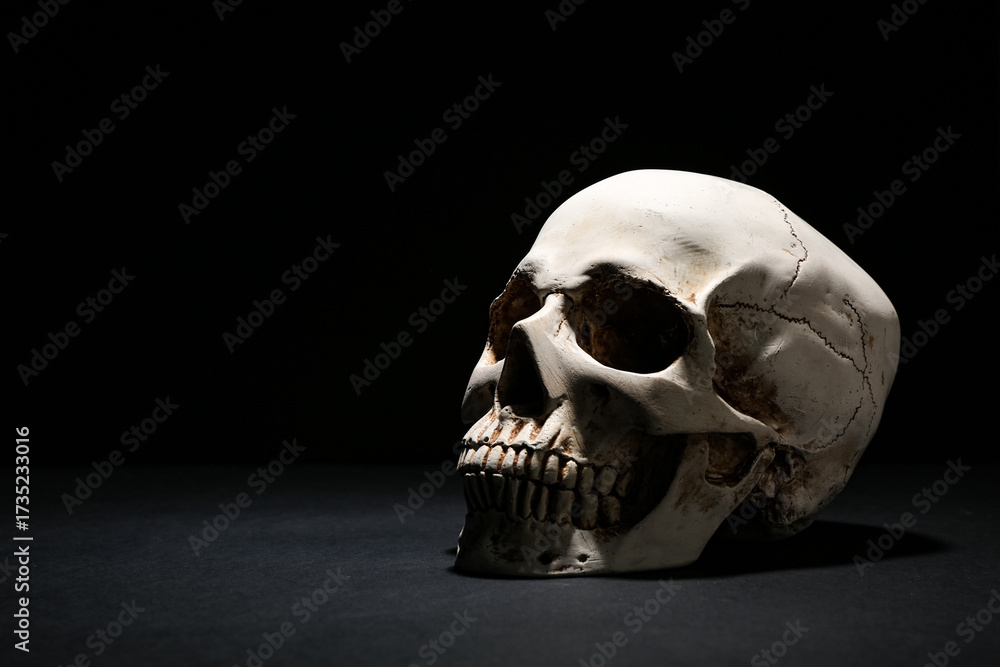 Obraz premium Human skull on dark background