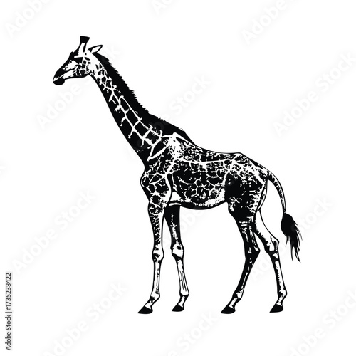 Detailed Giraffe Side View 