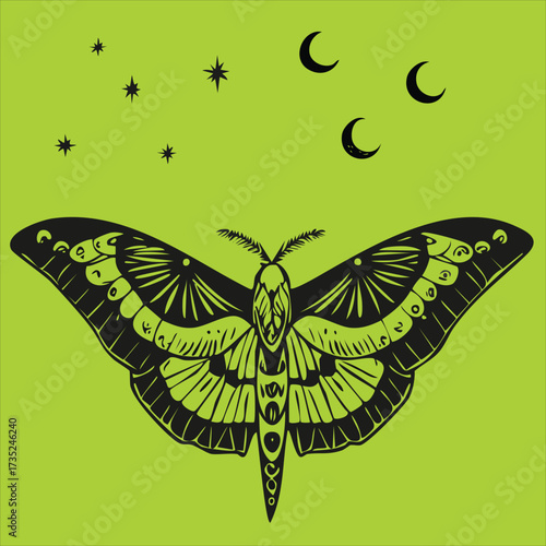 Colorful butterfly vector illustration on green background
