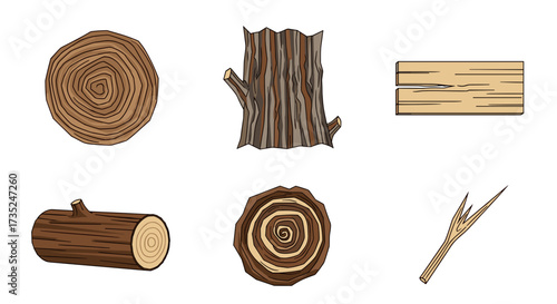 Illustration showing various types of wood including logs and tree bark pieces