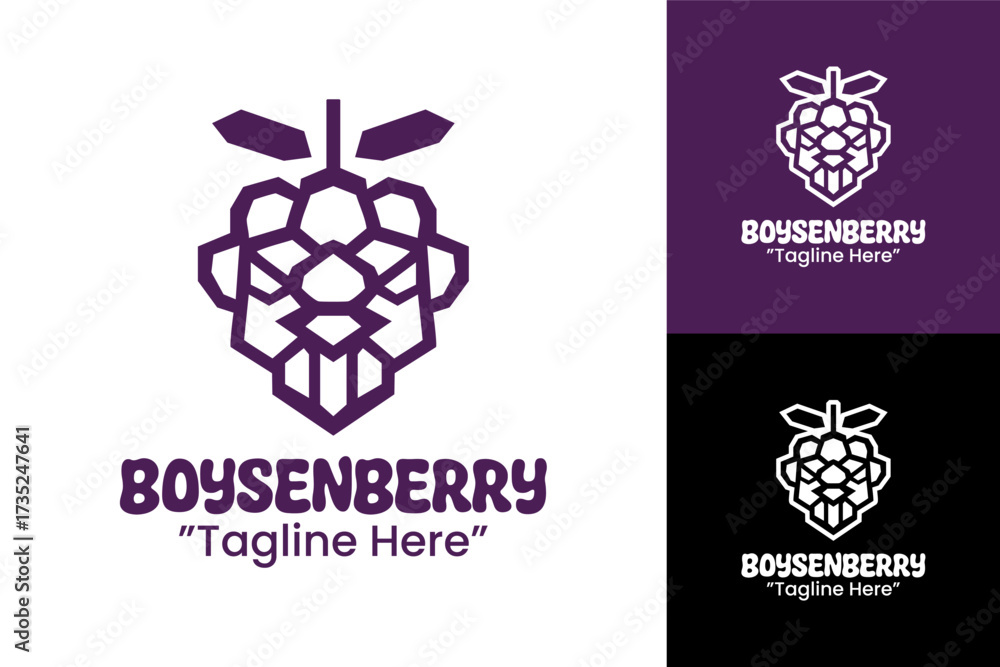 Fototapeta premium Boysenberry Logo Abstract Minimal Branding Icon