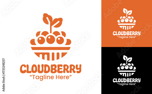Cloudberry Logo Modern Minimalist Fruit Identity