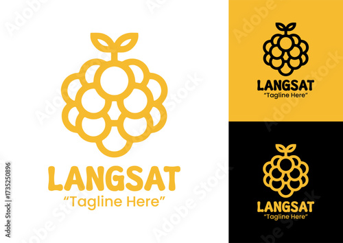 Langsat Logo Professional Creative Brand Design