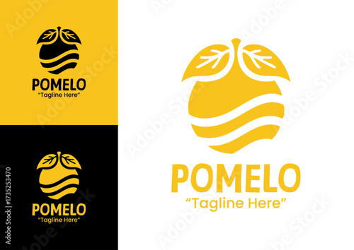Pomelo Logo Organic Fresh Juice Branding