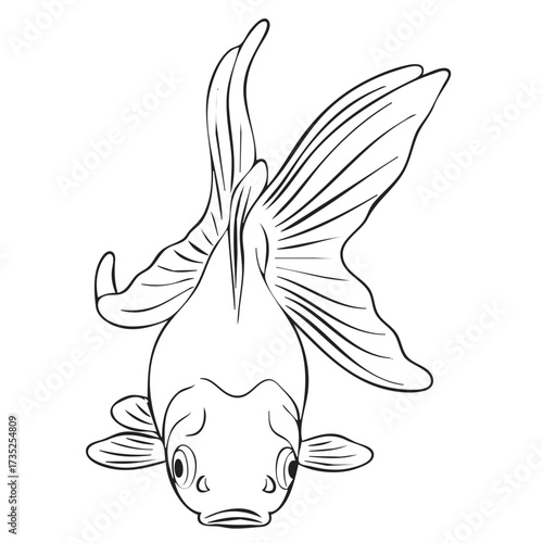 Black Goldfish Vector Line Art Illustration